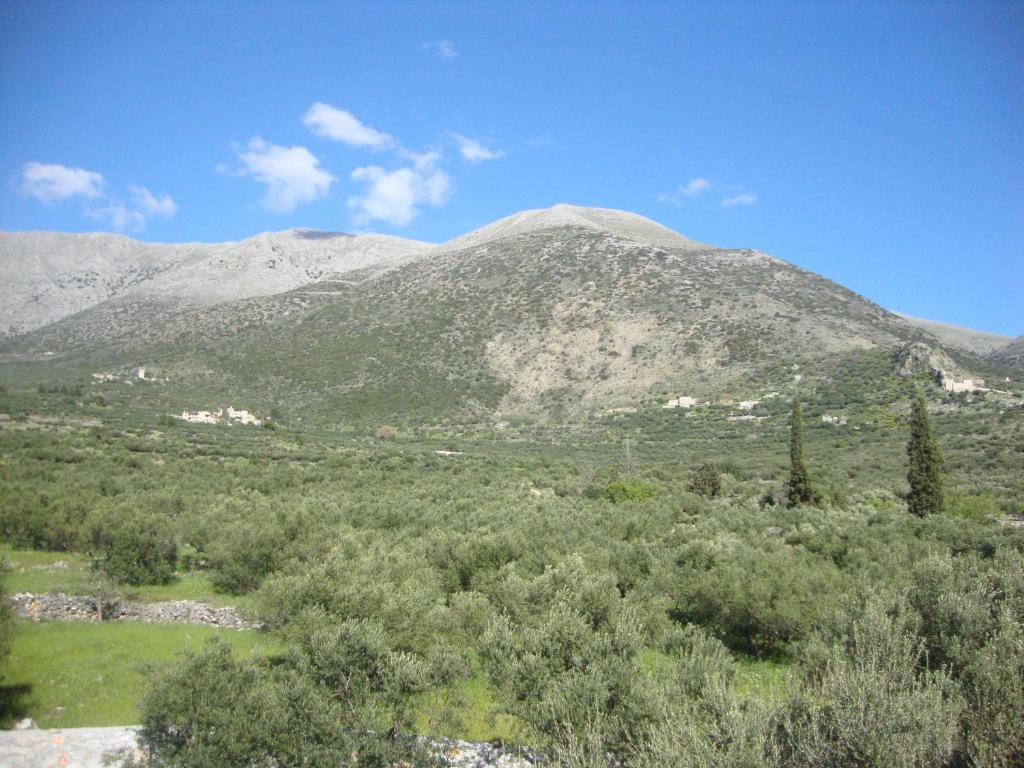 Kafiona Guesthouse Pírgos Dhiroú Екстериор снимка